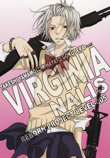 Katekyo Hitman Reborn! dj - Virginia (Непорочность)