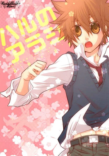 Katekyo Hitman Reborn! dj - Spring Storm (Весенний шторм)